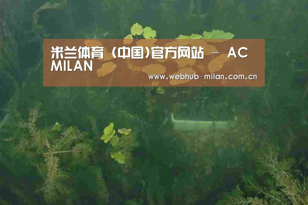 案例展示三(图1)