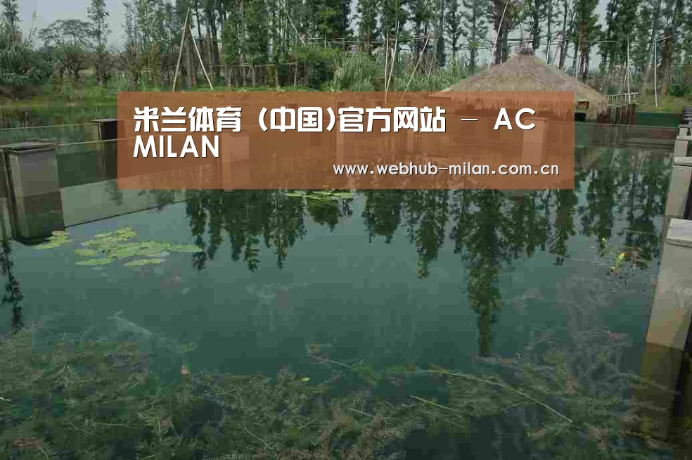 案例展示二(图1)