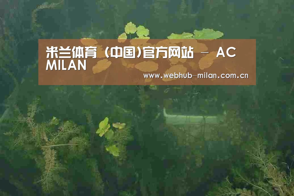 案例展示三