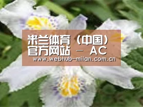 产品名称二