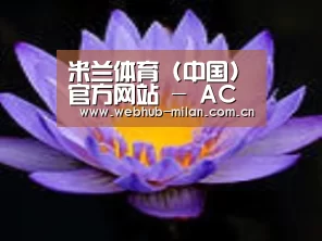 产品名称六