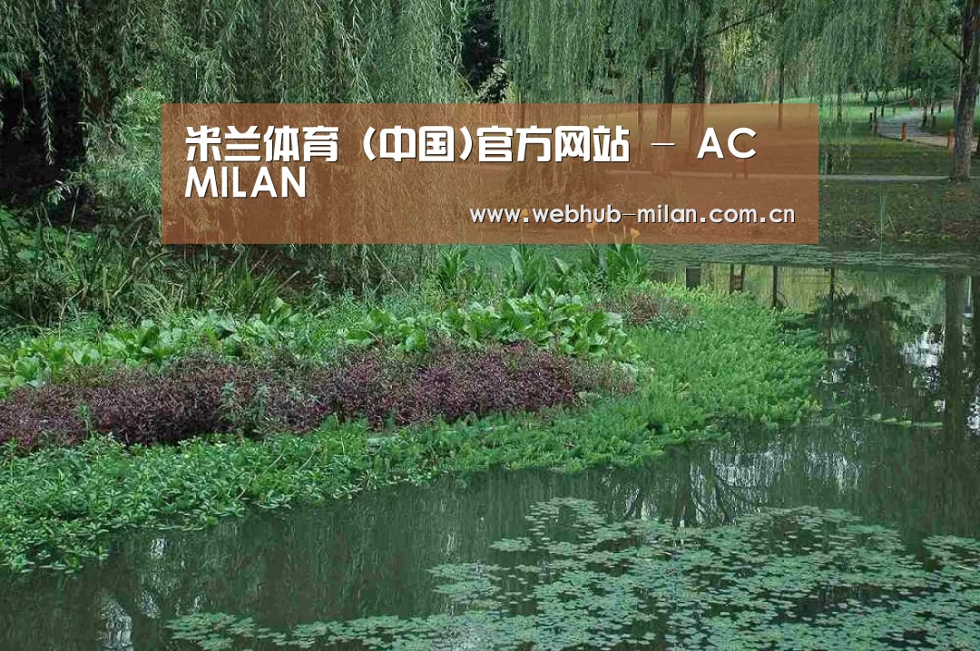 案例展示一