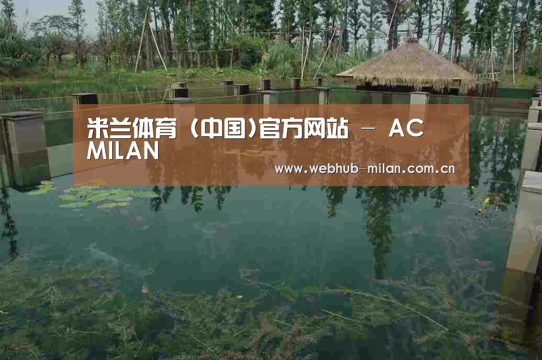 案例展示二