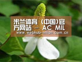 产品名称三