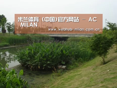案例展示四