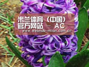 产品名称八