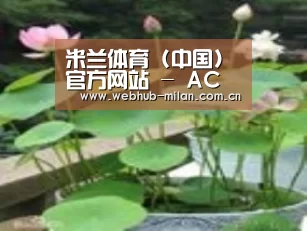 产品名称一
