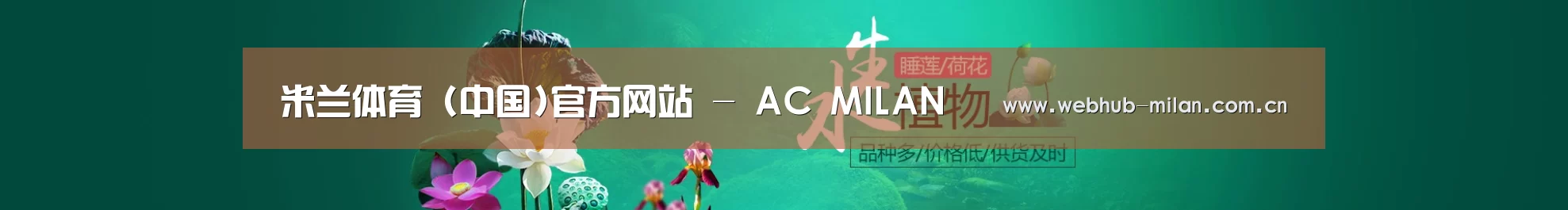 鲜花水草花卉网站模板