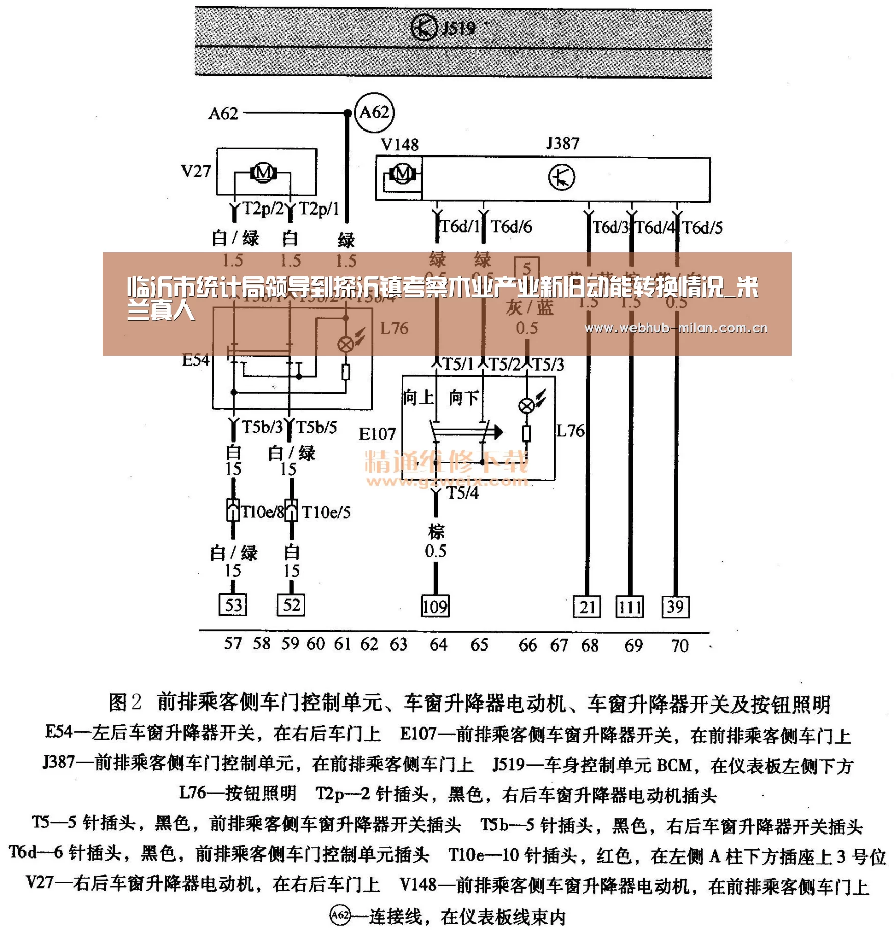 临沂市统计局领导到探沂镇考察木业产业新旧动能转换情况_米兰真人(图2) 赛事报道