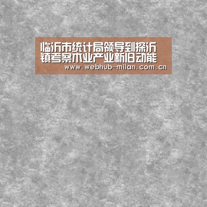 临沂市统计局领导到探沂镇考察木业产业新旧动能转换情况_米兰真人(图3) 米兰真人