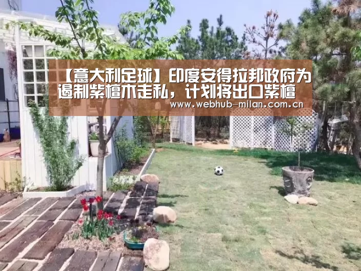 足球新闻