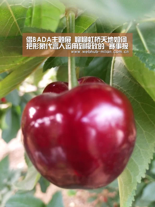 借BADA主题展 聊聊虹桥天地如何把形象代言人运用到极致的-赛事报道(图1) 米兰真人