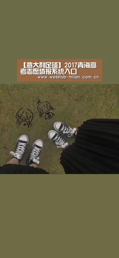 【意大利足球】2017青海高考志愿填报系统入口(图4) 米兰真人